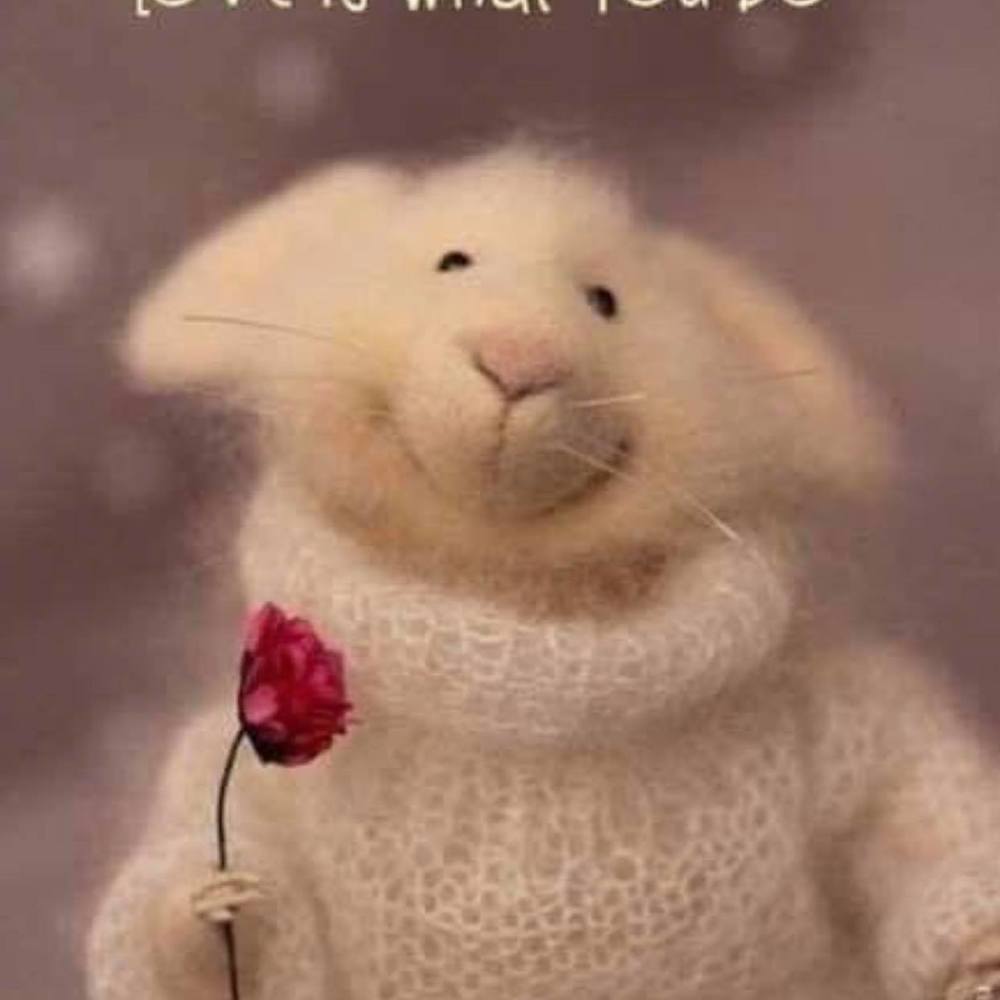 Meet your Posher, Sandy